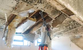 Mold Remediation for Rental Properties in Queens, NY